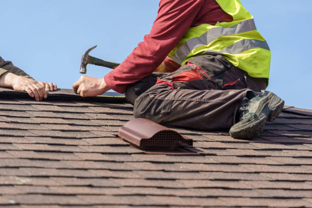 Best Shingle Roofing Installation  in Thornton, IL