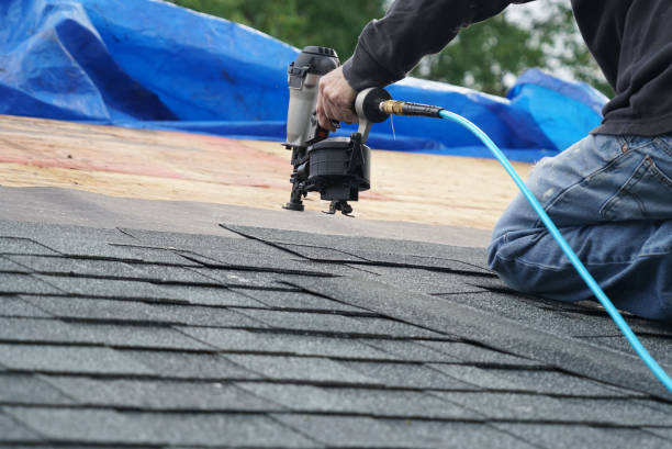 Best Metal Roofing Contractor  in Thornton, IL