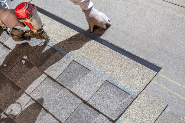 Best Roof Gutter Cleaning  in Thornton, IL